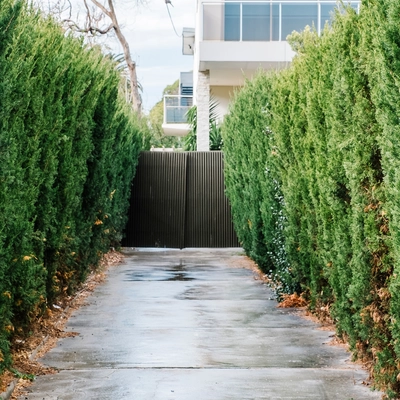 Pathway Construction